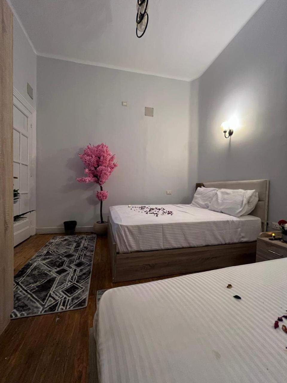 Downtown View Apartment Cairo